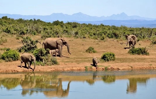 parcs naturels Afrique du Sud